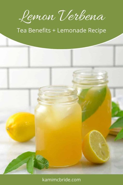 Lemon verbena tea benefits both mind and body. Turn it into delicious and healthy lemon verbena lemonade you'll want to drink every day! Click through to get the simple and refreshing recipe. #lemonverbena Lemon Verbena Recipes, Lemon Verbena Plant, Lemon Verbena Tea, Recipe Using Lemons, Holistic Recipes, Lemon Benefits, Lemon Lemonade, Lemon Dessert Recipes, Herbal Drinks