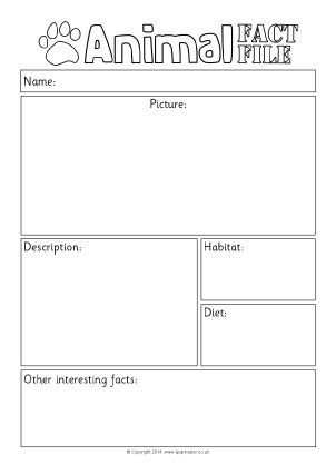 Report Writing Template Ks1 (2) - TEMPLATES EXAMPLE | TEMPLATES EXAMPLE Animal Information Report, Animal Research Template, Animal Fact Sheet, Non Chronological Report, Fact File Template, Animal Writing Activities, Animal Report Template, Animal Fact File, Report Writing Template