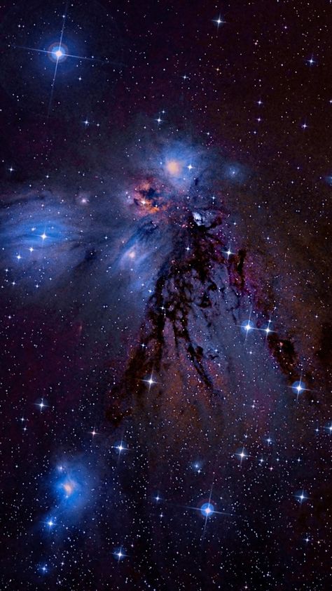 Julio Maiz on Twitter: "📷 NGC 2170, Angel Nebula https://t.co/D41Q8yUyOT https://t.co/vbIAyvuB7v" / Twitter Nasa Hubble Images, Hubble Space Telescope Pictures, Magic Universe, Cosmos Space, Stars Space, Space Phone Wallpaper, Galaxies Wallpaper, Hubble Images, Sky Stars