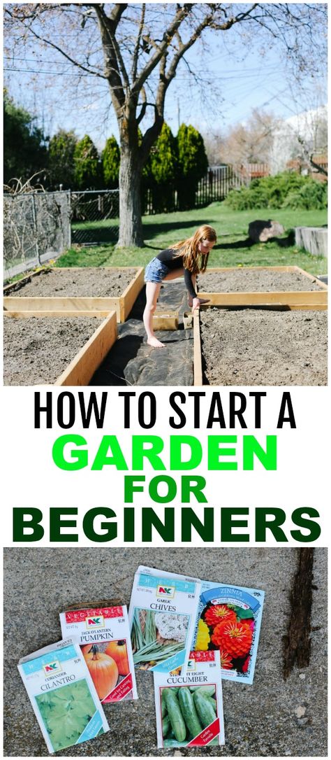 Starter Garden, Garden For Beginners, Start A Garden, Garden Boxes Diy, Backyard Garden Layout, Vegetable Garden For Beginners, Backyard Vegetable Gardens, Gardening 101, Starting A Garden