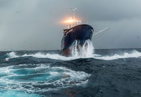 Bering Sea, Leading Lines, Alaska Fishing, Riders On The Storm, Sea Cow, Photographic Art, Deep Sea, Water Crafts, Fishing Boats