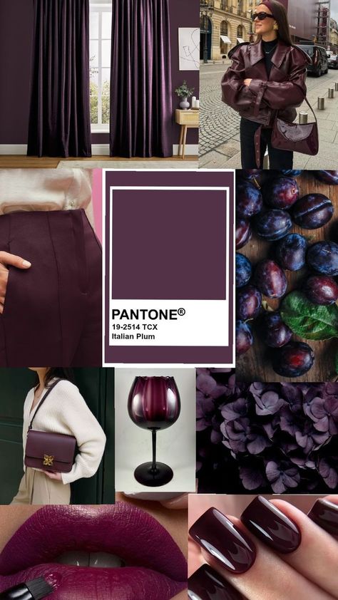 Plum Color Palette, Deep Winter Palette, Fall Winter Fashion Trends, Colour Combinations Fashion, Winter Color Palette, Winter Typ, Color Trends Fashion, Rose Fashion, Autumn Winter 2024