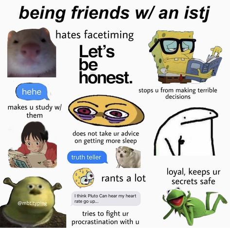 Istj Memes Funny, Istj Personality Memes, Istj Personality Characters, Istj Personality Aesthetic, Istj Things, Istj Type, Istj Aesthetic, Istj Relationships, Istj Mbti