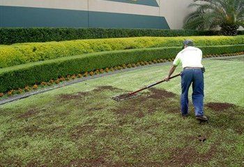 Reseeding Lawn, Lawn Ideas, Yard Maintenance, Aerate Lawn, Diy Lawn, Lawn Care Tips, Lush Lawn, Lawn Sprinklers, Raised Garden Beds Diy