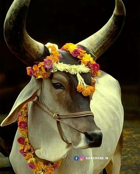 Gau Mata Hindu Cow, Zebu Cow, Sacred Cow, Cow Photography, Bull Painting, Indian Art Gallery, Cow Pictures, Lord Hanuman Wallpapers, Cow Calf