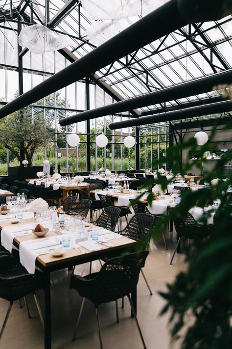 At Restaurant, Wedding Portrait Photography, Modern Urban, Morning Wedding, Green Wedding, Wedding Portraits, A Dream, Holland, Amsterdam