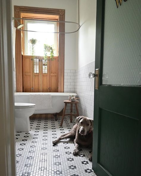 Brownstone Boys on Instagram: “For a second this morning we thought we lost our dog, Zuko. Turns out he was just laying & admiring the guest bathroom tile. We can’t blame…” Clawfoot Tub Bathroom Shower Combo, Small Bathroom With Clawfoot Tub, Clawfoot Tub Shower Combo, Claw Foot Tub Bathroom, Tudor Bathroom, Bathroom With Clawfoot Tub, Clawfoot Tub Bathroom, Bathroom Vibes, Bathtub Spout