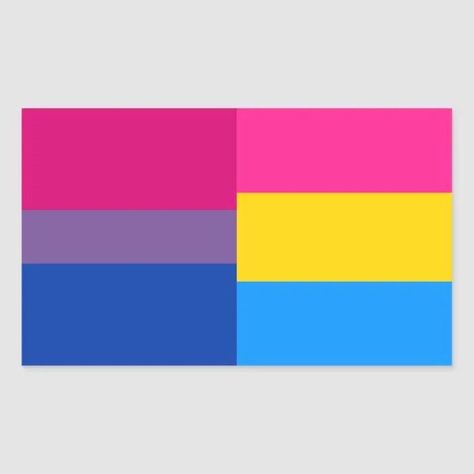 Pansexual Aesthetic, Pansexual And Bisexual, Bi Flag, Different Flags, Pansexual Flag, Pride Design, Bisexual Flag, Lgbtq Funny, Night Sky Photography