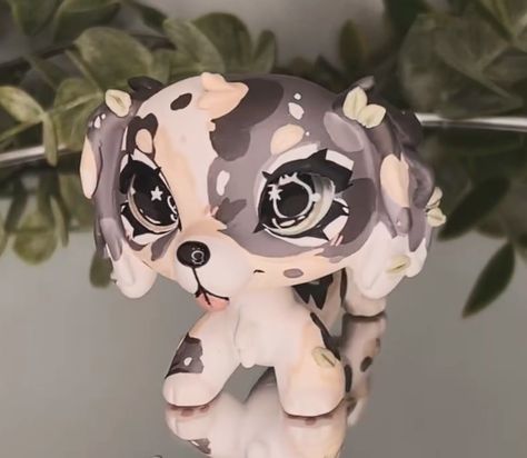 Lps Bunny Custom, Cute Lps Customs, Custom Lps Ideas, Lps Pfp, Lps Customs Ideas, Lps Aesthetic, Backgrounds For Videos, Lps Dachshund, Stole Ideas