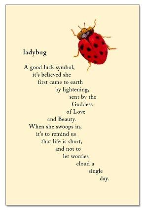 Ladybug Quotes, Luck Symbol, Lady Bug Tattoo, Bug Tattoo, Good Luck Symbols, Ladybug Art, A Ladybug, Quotes By Authors, New Energy