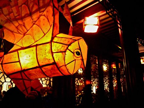 Paper Lantern Owl, Lantern Making Ideas, Fire Lanterns, Willow Lanterns, Lantern Walk, Lantern Fest, Lantern Parade, Owl Lantern, Lantern Making