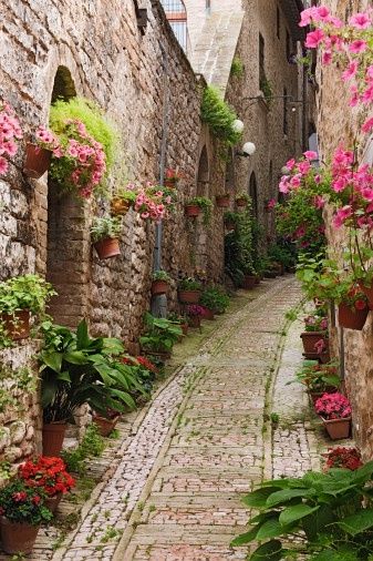 Romantic cobblestone roads, St. Paul de Vence, France Perjalanan Kota, Calabria, Reykjavik, Pretty Places, France Travel, Places Around The World, Vacation Spots, Dream Vacations, Beautiful World