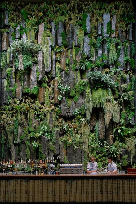 Vertical Garden Design, Vertical Garden Wall, Shangri La Hotel, Green Architecture, Wall Garden, Shangri La, Living Wall, Plant Wall, Green Wall