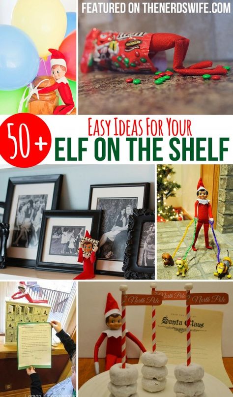 Easy Elf on the Shelf Ideas Tree Props, Easy Elf On The Shelf, Easy Elf, Elf Activities, The Elf On The Shelf, Elf Antics, Elf Fun, Love Anniversary Quotes, Happy Thanksgiving Quotes