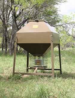 Deer Feeder Ideas, Deer Feed, Texas Wildlife, Food Plots For Deer, Deer Blinds, Deer Food, Deer Feeders, Deer Blind, Food Plot