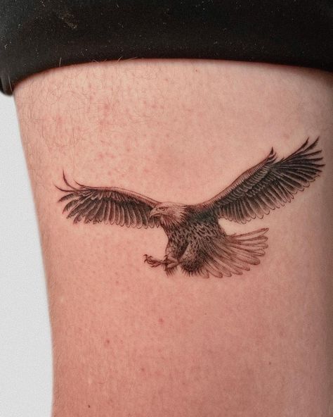 Hawk Tattoo Minimalist, Micro Tattoo Men, Small Bald Eagle Tattoo For Women, Delicate Eagle Tattoo, Minimalist Hawk Tattoo, Hawk Memorial Tattoo, Eagle Tattoo Arm, Eagle Head Tattoo, Small Eagle Tattoo