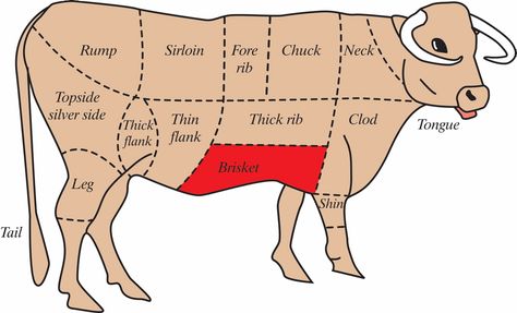 http://masterman535.hubpages.com/hub/Diagram-of-How-to-Butcher-a-Beef-Cow Parts Of A Cow, Beef Cuts Chart, Cow Slaughter, Butcher Diagram, Cow Meat, Cooking Roast Beef, Beef Cow, Moonshine Recipes, King Salmon