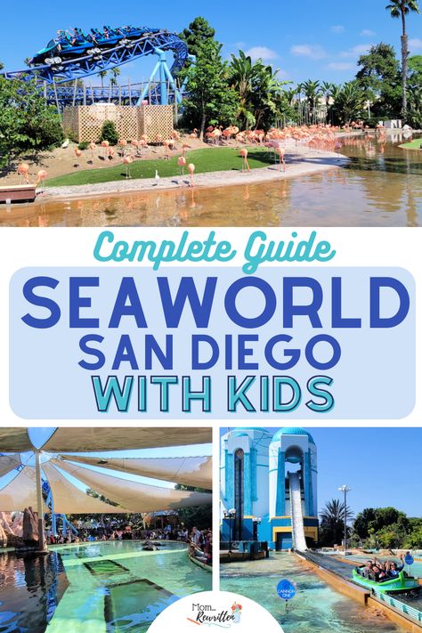 Complete guide to SeaWorld San Diego with tips for everything you need to know about this marine theme park. This article offers a complete family guide to educational shows and animal presentations, touch pools, and aquariums. Find out about kid-friendly attractions and thrill rides, including height requirements. Tips on the All-Day Dining Deal and seasonal special events like the Halloween Spooktacular. Details on discounted SeaWorld San Diego tickets and when kids can get free admission. Sea World San Diego, San Diego Kids, San Diego Map, San Diego Attractions, Cali Summer, Vacay Ideas, Seaworld San Diego, Complete Family, Camp Pendleton