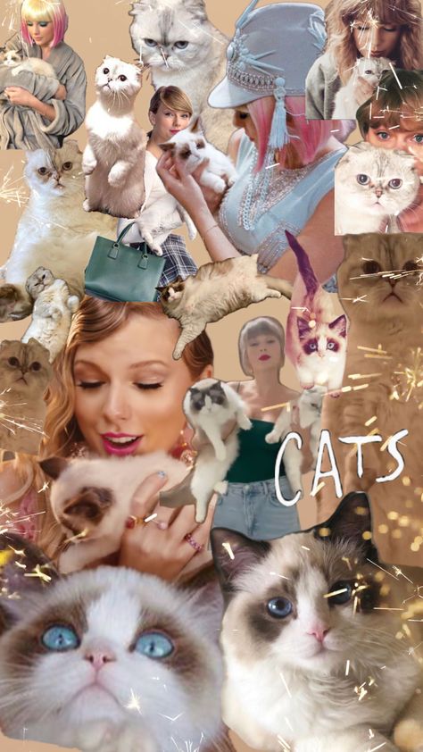 Taylor’s cats are just😇🥹❤️#taylorswift #cats #wallpaper Taylor Swift Cat, Taylor Swift Singing, Cat Collage, National Cat Day, Cat Background, Taylor Swift Cute, All About Taylor Swift, Meredith Grey, Taylor S