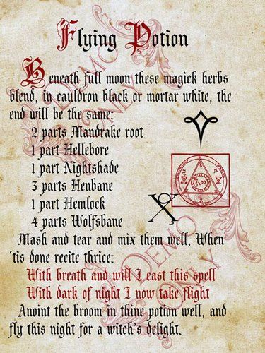 Herbs Magic, Flying Broom, Hocus Pocus Spell, Halloween Spell Book, Potions Book, Halloween Spells, Book Of Spells, Charmed Book Of Shadows, Spells For Beginners