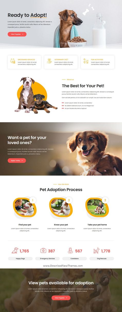 Animal Adoption Website Design, Dog Breeder Website Design, Pet Adoption Website Design, Dog Website Design Inspiration, Vet Website Design, Pet Website Design Inspiration, Dog Website Design, Pet Website Design, Adoption Website