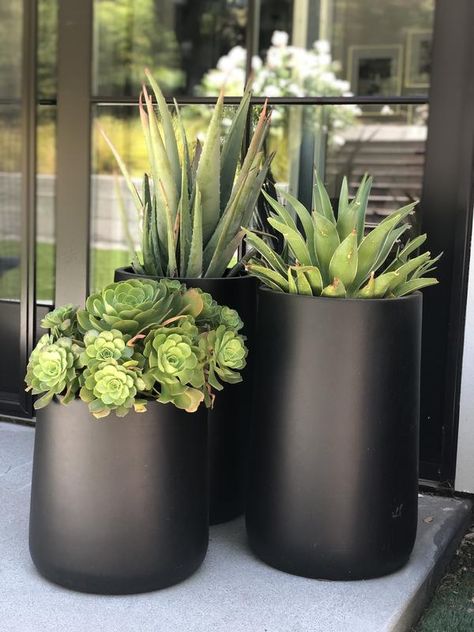 Saabira Fiberstone Indoor/Outdoor Planters | Crate and Barrel Outdoor Planters Front Door, Modern Planters Outdoor, Large Outdoor Planters, Black Planters, Potted Plants Outdoor, Plants Outdoor, Cottage Garden Design, Indoor Outdoor Planter, Outdoor Planter