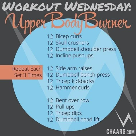 Chaarg Workouts, Upper Body Circuit Workout, Body Circuit Workout, Upper Body Circuit, Burner Workout, Beginner Pilates, Workout Home, Tricep Kickback, Pilates Video