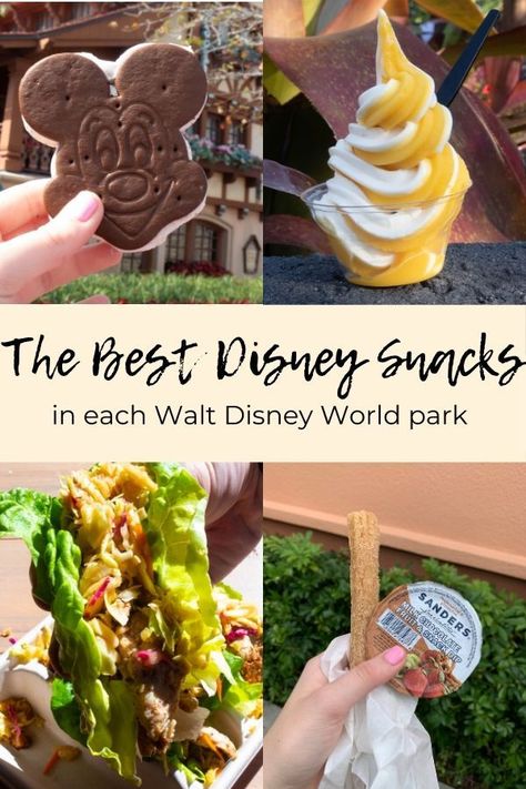 Best Disney Snacks, Disney Inspired Recipes, The Best Snacks, Passion Fruit Syrup, Disney Eats, Best Snacks, Disney World Food, Disney Snacks, Disney Vacation Planning