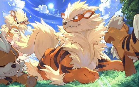 Arcanine Fanart, Arcanine Art, Pokemon Z, Pokemon Card Game, Wild Pokemon, Pokemon Pocket, Pokémon Art, Cute Pokemon Pictures, Trading Card Game