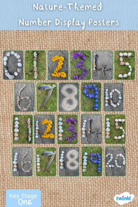 Nature Numbers Printable, Natural Numbers Math, Nature Themed Classroom Preschool, Eylf Programming, Classroom Table Numbers, Butterfly Classroom, Butterflies Classroom, Nature Preschool, Odd And Even Numbers