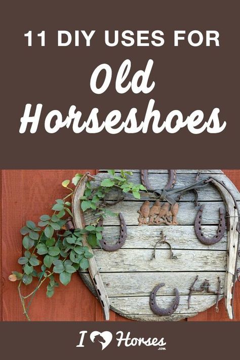 Horse Shoe Decor Rustic, Horse Shoe Decorations, Horseshoe Crafts Projects Western Decor, Old Horse Shoes Ideas, Diy Horse Gifts, Diy Western Crafts, Diy Horse Decor, Horse Shoe Ideas, Horse Diy Crafts