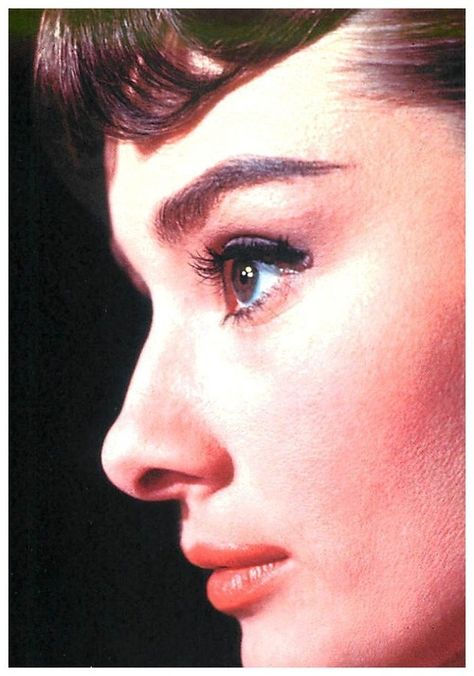 audrey hepburn Audrey Hepburn Profile, Audrey Hepburn Born, Audrey Hepburn Photos, Audrey Hepburn Style, Hepburn Style, My Fair Lady, Actrices Hollywood, Iconic Women, Classic Beauty