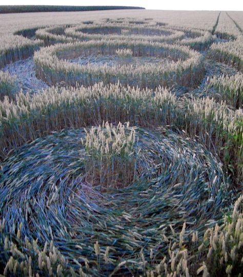 Rue Lenoir Crop Circle #2 (07-21-2013)  Formed near North East Momalle, Belgium. Crop Circles Sacred Geometry, Black Elk, Circle Geometry, Nazca Lines, Power Moves, Crop Circle, Arte Alien, Earth Art, Crop Circles