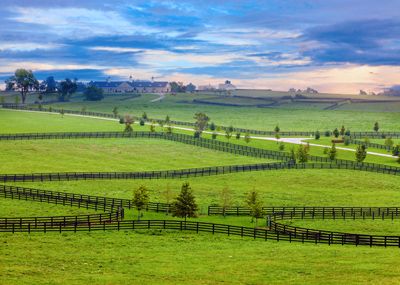 Along the Old Frankfort Pike Kentucky Horse Farms, Investing In Land, Horse Fencing, My Old Kentucky Home, States In America, Horse Farms, Bike Tour, Kayaking, Kentucky