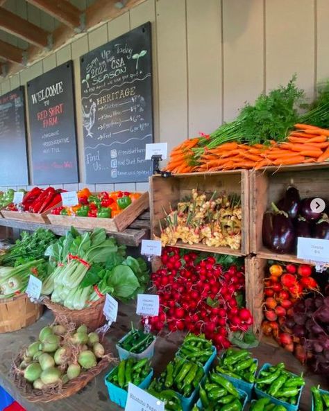 Farmers Market Fruit Display, Homestead Pantry, Seafood Store, Roadside Stand, Farmers Market Stand, Farmers Market Display, Farm Restaurant, Vegetable Stand, Farm Business