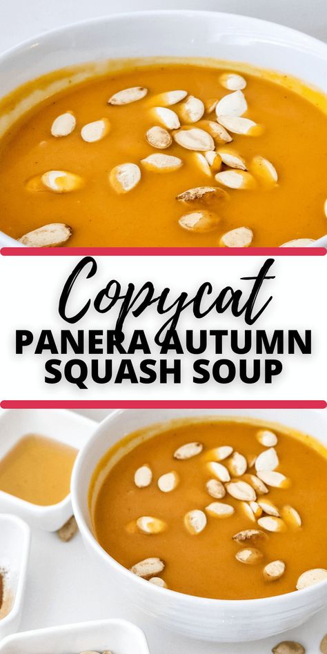 Squash Soup Panera, Panera Autumn Squash Soup Recipe, Panera Squash Soup, Autumn Squash Soup Recipe, Autumn Squash Soup, Panera Autumn Squash Soup, Yellow Squash Soup, Harvest Soup, Creamy Tomato Soup Recipe