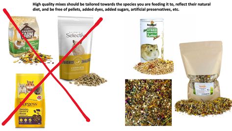 Choosing an Appropriate Hamster Food: with an Introduction to Homemade Diets Hamster Diet, Chinese Hamster, Hamster Food, Syrian Hamster, Picky Eating, Natural Diet, Animal Protein, Stuffed Shells, Hemp Seeds