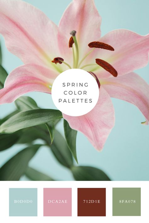 A striking image of a pink lily in full bloom. The lily's petals are soft and smooth, contrasting beautifully with the bright green leaves and the light blue background, creating a fresh and vibrant spring feel. Lily Color Palette, Color Generator, Flip Image, Blur Image, Spring Color Palette, Color Picker, Palette Color, Spring Color, Light Blue Background