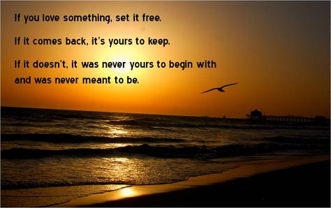 if you love something, set it free.. if it comes back, it is infinitely yours. If You Love Something Set It Free Quote, If You Love Something Set It Free, Set It Free, Keeping Faith, Life Sayings, Romantic Love Quotes, Set Free, Free Quote, Free Quotes