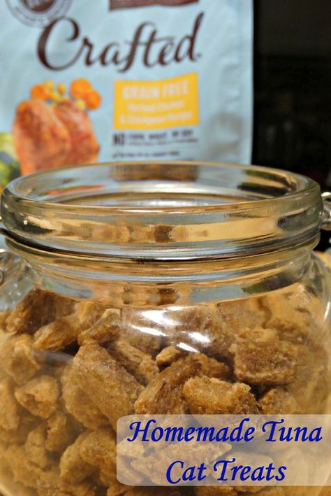 Homemade Cat Treats Recipes, Diy Cat Treats, Tuna Cat Treats, Diy Cat Food, Homemade Pet Treats, Pet Treats Recipes, Homemade Cat Food, Cat Nutrition, Food Homemade