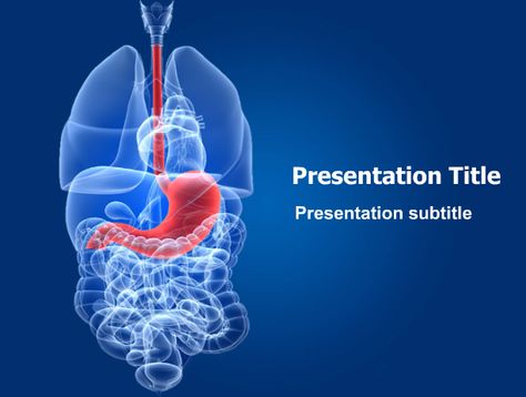 #Human #Stomach #PowerPoint #Template.  This stunning template showing internal organs will fit presentations on internal organs, stomach diseases, gastrointestinal disturbances, alimentary canal, anatomy, etc.  More Details: http://www.medicalppttemplates.com/medical-ppt-templates.aspx/Human-Stomach-200 Human Stomach, Medical Powerpoint Templates, Health Powerpoint, Free Powerpoint Templates Download, Medical Powerpoint, Geography Worksheets, Integumentary System, Power Point Templates, Powerpoint Slide Designs