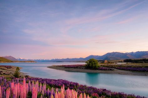 New Zealand Photography, New Zealand Aesthetic, New Zealand Beach, Pink Lake, Hills And Valleys, Visit New Zealand, Travel Wishlist, New Zealand Travel, Photography Wallpaper