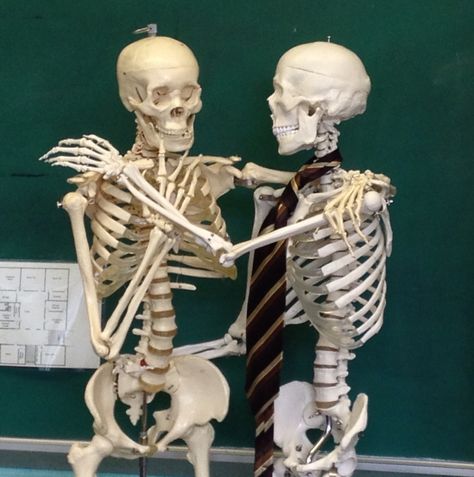 Mr Bones and friend skeleton anatomy skeletal MA medical assistant school nursing Mr Bones Skeleton, Medical Assistant School, Skeleton Pics, Anatomy Skeleton, Medical Assistant Student, Mr Bones, Skeleton Anatomy, School Nursing, Student Photo