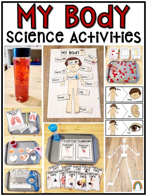 Theme My Body Preschool, Healthy Bodies Prek Activities, My Healthy Body Preschool Activities, My Body Kindergarten Activities, All About Me Eyfs, Body Parts For Kids, Body Science, Body Preschool, Human Body Science