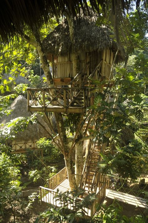 Tree House Village, Beautiful Tree Houses, Tree Fort, House Village, Cool Tree Houses, Tree House Designs, Trendy Tree, House Architecture, Tree Tops