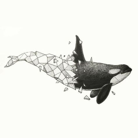 Geometric Orca Tattoo, Orca Drawing, Orca Art, Orca Tattoo, Whale Drawing, Whale Tattoos, Kerby Rosanes, Geometric Tattoos, Drawing Animals