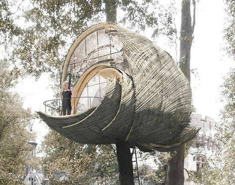 goepel & baumgartens treehouse modules in france draw influence from wasp nests Birds Nest Architecture, Nest Architecture Concept, Bird Nest Architecture, Cocoon Architecture, Nest Architecture, Bird Nest Art, Architectural Engineer, Wasp Nest, Shelter Design