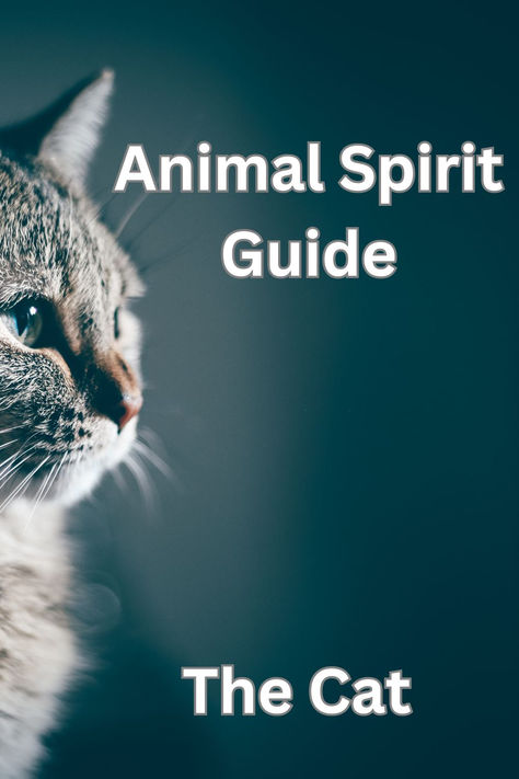 Animal spirit guide the cat speaks about wisdom and timing; it foretells the courage that is present within to enabling you to explore the unknown. Animal Empath, Cat Spirit Animal, Pagan Life, Animal Meanings, Cat Spirit, Animal Spirit Guide, Animal Spirit Guides, Cat Power, Animal Spirit