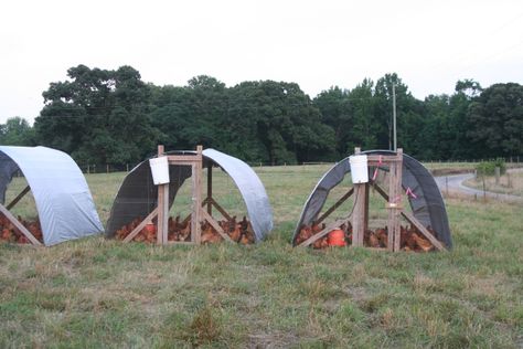 Made In Georgia — Pastured Poultry – tuneOUToptIN Turkey Pen, Chicken Shelter, Pastured Poultry, Chicken Raising, Turkey Ideas, Shade Grass, Chicken Pen, Chicken Tractors, Chicken Feeders