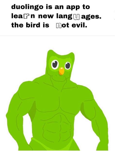 Duolingo Bird, Owl Meme, Beautiful Tumblr, Mean Humor, Very Funny Memes, Райан Гослинг, Me Me, Very Funny Pictures, Gaming Memes